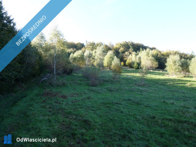 Brenna 253 ha działka inwestycyjna blisko wyciągu - Brenna  -
śląskie Zdjęcie nr 14