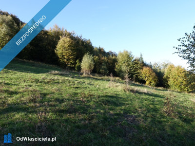 Brenna 253 ha działka inwestycyjna blisko wyciągu - Brenna  -
śląskie Zdjęcie nr 16