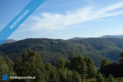 Brenna 253 ha działka inwestycyjna blisko wyciągu - Brenna  - śląskie