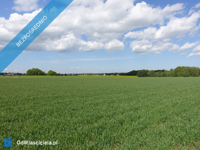 Skoczów Pruchna 1156ha z prawem zabudowy w samym centrum  - Cieszyn  -
śląskie Zdjęcie nr 3