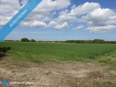 Skoczów Pruchna 1156ha z prawem zabudowy w samym centrum  - Cieszyn  -
śląskie Zdjęcie nr 4