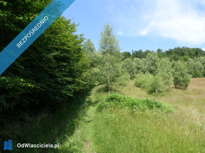 Brenna 253 ha z prawem zabudowy inwestycyjna blisko wyciągu orzcykowego - Kraków  -
małopolskie Zdjęcie nr 6