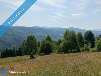 Brenna 253 ha z prawem zabudowy inwestycyjna blisko wyciągu orzcykowego - Kraków  -
małopolskie Zdjęcie nr 7