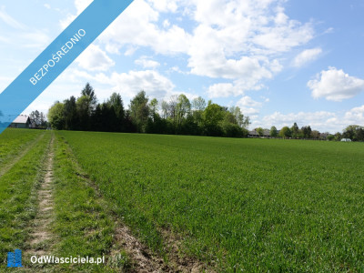 Skoczów Pruchna 115ha w samym centrum z prawem zabudowy - Bielsko-Biała  -
śląskie Zdjęcie nr 4