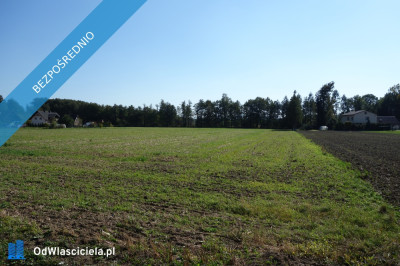 Skoczów Ochaby 16ha z prawem zabudowy lux lokalizacja media  - Katowice  - śląskie