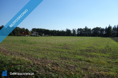 Skoczów Ochaby 16ha z prawem zabudowy lux lokalizacja media  - Katowice  -
śląskie Zdjęcie nr 3