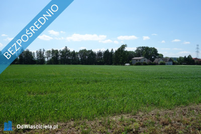 Skoczów Ochaby 32 ha budowlany oraz pod usługi nieuciążliwe  - Katowice  -
śląskie Zdjęcie nr 2