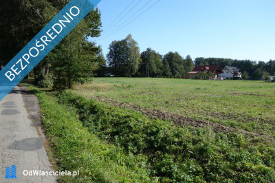 Skoczów Ochaby 32 ha budowlany oraz pod usługi nieuciążliwe  - Katowice  -
śląskie Zdjęcie nr 5