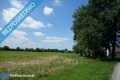 Skoczów Ochaby 32 ha budowlany oraz pod usługi nieuciążliwe  - Katowice  -
śląskie Zdjęcie nr 7