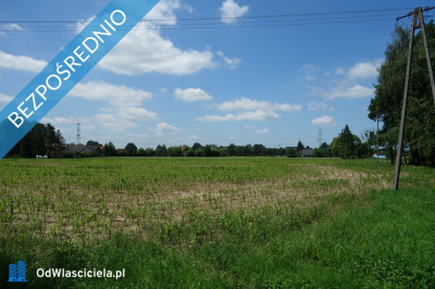 Skoczów Ochaby 32 ha budowlany oraz pod usługi nieuciążliwe  - Katowice  -
śląskie Zdjęcie nr 8