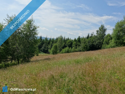 Brenna 253 ha działka inwestycyjna pod pensjonaty zabudowe jednorodzinną - Bielsko-Biała  -
śląskie Zdjęcie nr 12