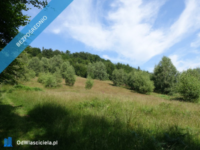 Brenna 253 ha działka inwestycyjna pod pensjonaty zabudowe jednorodzinną - Bielsko-Biała  -
śląskie Zdjęcie nr 8