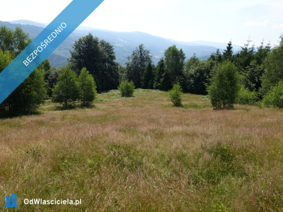 Brenna 253 ha działka inwestycyjna blisko wyciągu - Bielsko-Biała  -
śląskie Zdjęcie nr 2