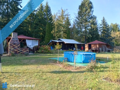 Działka budowlana z domkiem 35 km od Warszawy  - Adamów-Wieś  -
mazowieckie Zdjęcie nr 5