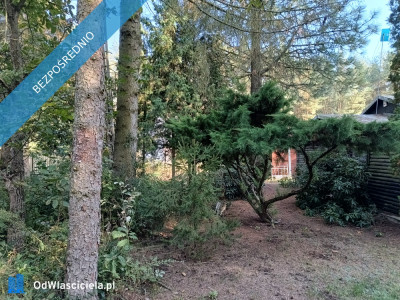 Działka budowlana z domkiem 35 km od Warszawy  - Adamów-Wieś  -
mazowieckie Zdjęcie nr 7