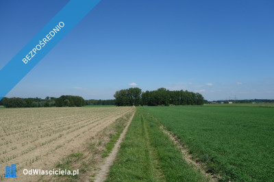 Skoczów Pruchna 115ha pod stadnine zabudowe lux lokalizacja - Skoczów  -
śląskie Zdjęcie nr 10