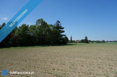 Skoczów Pruchna 115ha pod stadnine zabudowe lux lokalizacja - Skoczów  -
śląskie Zdjęcie nr 8