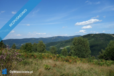 Brenna 253 ha działka inwestycyjna blisko wyciągu - Warszawa  -
mazowieckie Zdjęcie nr 2