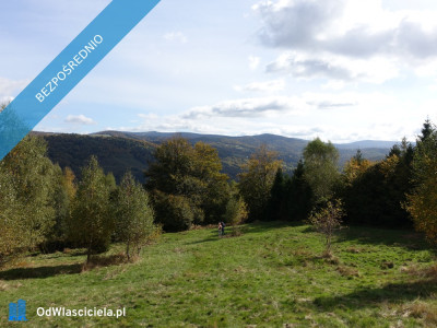 Brenna 253 ha działka inwestycyjna blisko wyciągu - Kraków  -
małopolskie Zdjęcie nr 3
