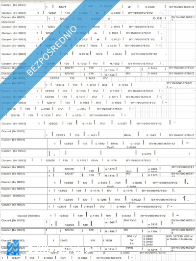 Działki pod budownictwo mieszkaniowe na nieuciazliwy przemysł i usługi w Gorzeniu gm Nakło - Gorzeń  -
kujawsko-pomorskie Zdjęcie nr 12