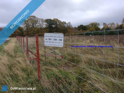 Sprzedam działki w Sasinie koło Łeby - Sasino  -
pomorskie Zdjęcie nr 5