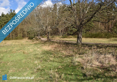 Sprzedam działki budowlane nad morzem w m Bukowa pow Smołdzino - Bukowa  -
pomorskie Zdjęcie nr 10