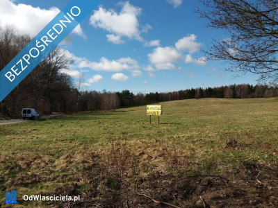 Sprzedam działki budowlane nad morzem w m Bukowa pow Smołdzino - Bukowa  -
pomorskie Zdjęcie nr 11