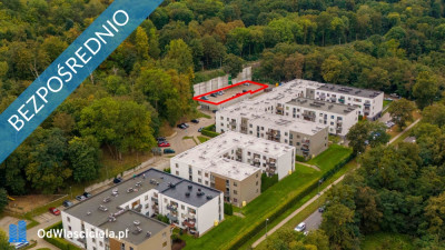 Obniżka ceny Miejsce postojowe Park leśny Zdroje ul Grabowa  - Zdroje  -
zachodniopomorskie Zdjęcie nr 4