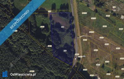 Działka 239 w miejscowości Wielka Nieszawka - Wielka Nieszawka  -
kujawsko-pomorskie Zdjęcie nr 2
