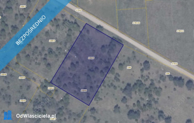 Działka 1946 w miejscowości Ełganowo - Ełganowo  - pomorskie