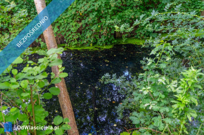 Działka nad morzem teraz tylko  179000 zł - Międzywodzie  -
zachodniopomorskie Zdjęcie nr 8