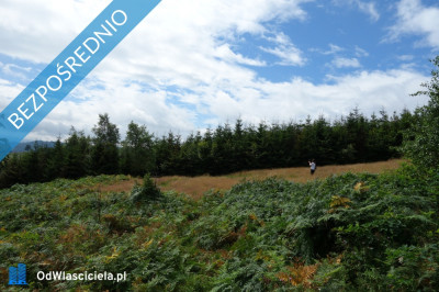 Brenna 253 ha działka inwestycyjna blisko wyciągu - Brenna  -
śląskie Zdjęcie nr 9
