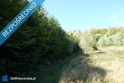 Brenna 253 ha działka inwestycyjna blisko wyciągu - Brenna  -
śląskie Zdjęcie nr 11