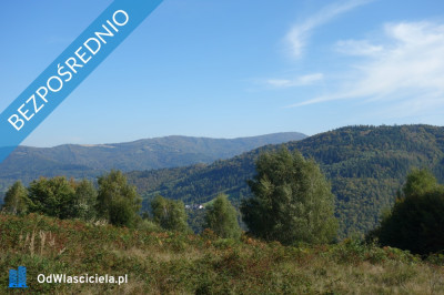 Brenna 253 ha działka inwestycyjna blisko wyciągu - Brenna  -
śląskie Zdjęcie nr 12