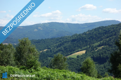 Brenna 253 ha działka inwestycyjna blisko wyciągu - Brenna  - śląskie