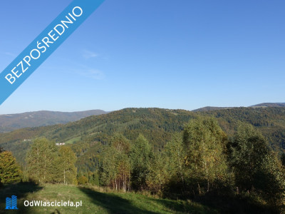 Brenna 253 ha działka inwestycyjna blisko wyciągu - Brenna  -
śląskie Zdjęcie nr 2