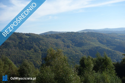 Brenna 253 ha działka inwestycyjna blisko wyciągu - Brenna  -
śląskie Zdjęcie nr 4