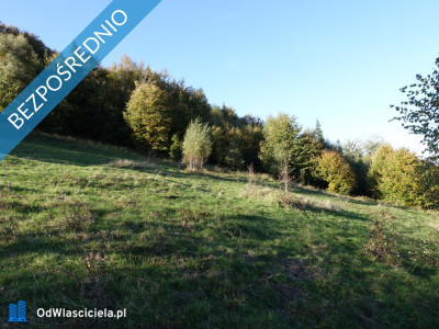 Brenna 253 ha działka inwestycyjna blisko wyciągu - Brenna  -
śląskie Zdjęcie nr 5