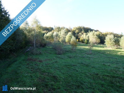 Brenna 253 ha działka inwestycyjna blisko wyciągu - Brenna  -
śląskie Zdjęcie nr 6