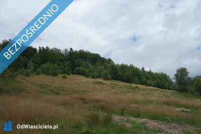 Brenna 253 ha działka inwestycyjna blisko wyciągu - Brenna  -
śląskie Zdjęcie nr 8