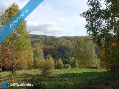 Brenna 253 ha działka inwestycyjna blisko wyciągu - Wisła  -
śląskie Zdjęcie nr 9