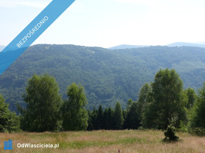 Brenna 253 ha działka inwestycyjna blisko wyciągu - Szczyrk  - śląskie