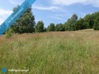 Brenna 25ha pod inwestycje pensjonaty domki letniskowe - Brenna  -
śląskie Zdjęcie nr 10