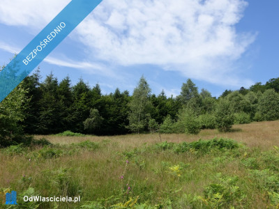 Brenna 25ha pod inwestycje pensjonaty domki letniskowe - Brenna  -
śląskie Zdjęcie nr 11