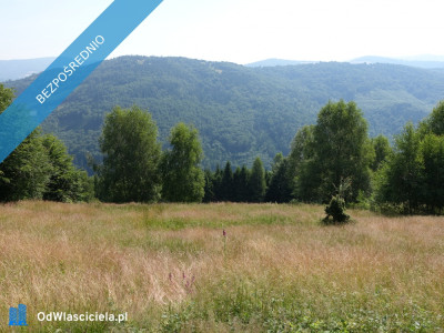 Brenna 25ha pod inwestycje pensjonaty domki letniskowe - Brenna  - śląskie