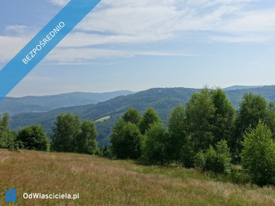 Brenna 25ha pod inwestycje pensjonaty domki letniskowe - Brenna  -
śląskie Zdjęcie nr 2
