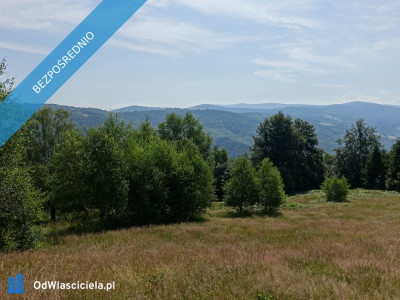 Brenna 25ha pod inwestycje pensjonaty domki letniskowe - Brenna  -
śląskie Zdjęcie nr 3