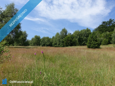 Brenna 25ha pod inwestycje pensjonaty domki letniskowe - Brenna  -
śląskie Zdjęcie nr 5