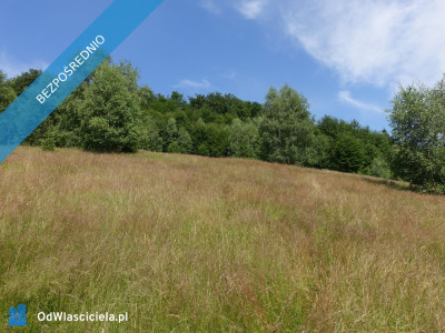 Brenna 25ha pod inwestycje pensjonaty domki letniskowe - Brenna  -
śląskie Zdjęcie nr 6