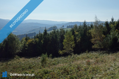 Brenna 253 ha działka inwestycyjna blisko wyciągu - Warszawa  -
mazowieckie Zdjęcie nr 3